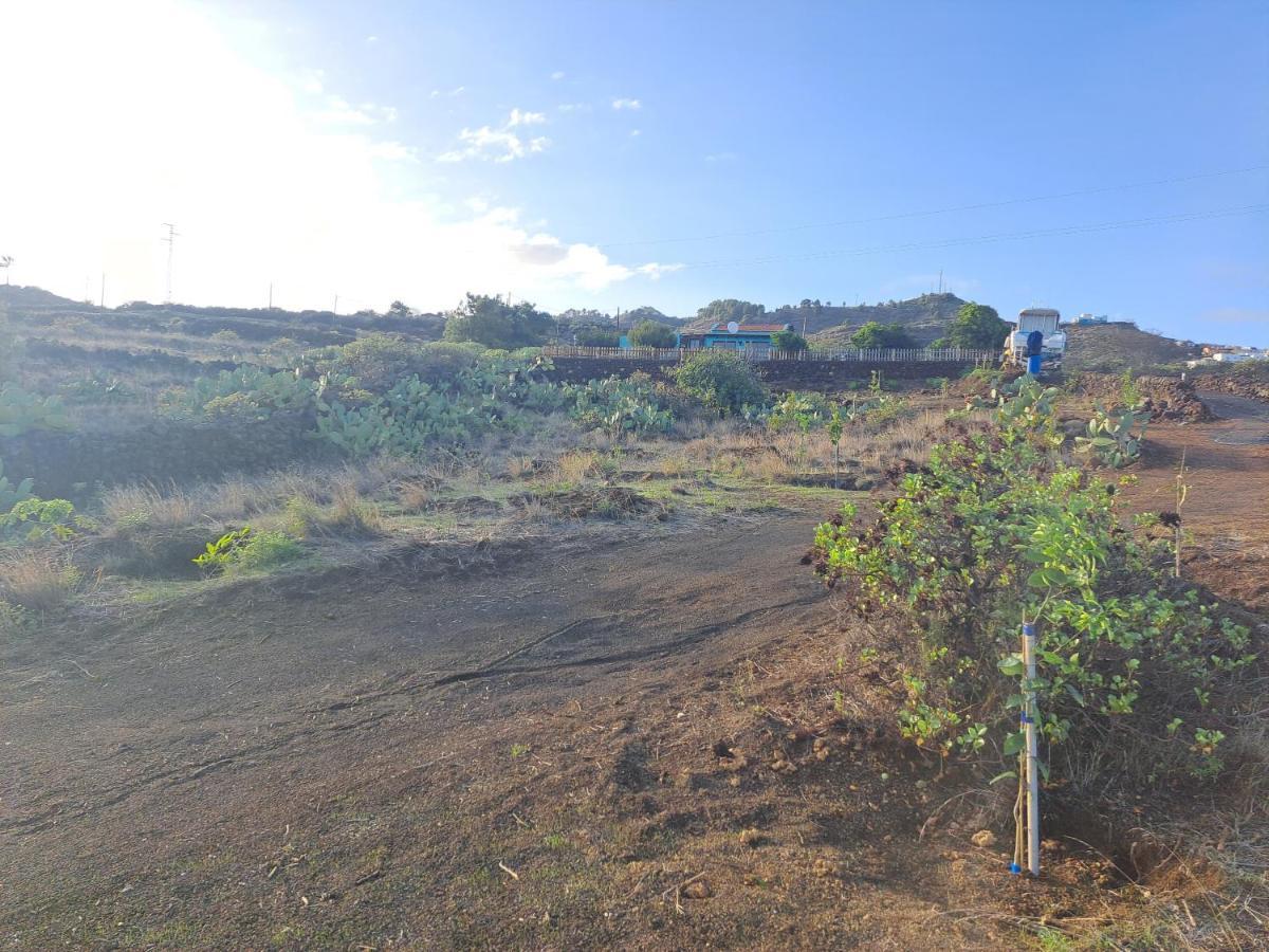 Las Casitas De Pao El Pinar  Exteriör bild