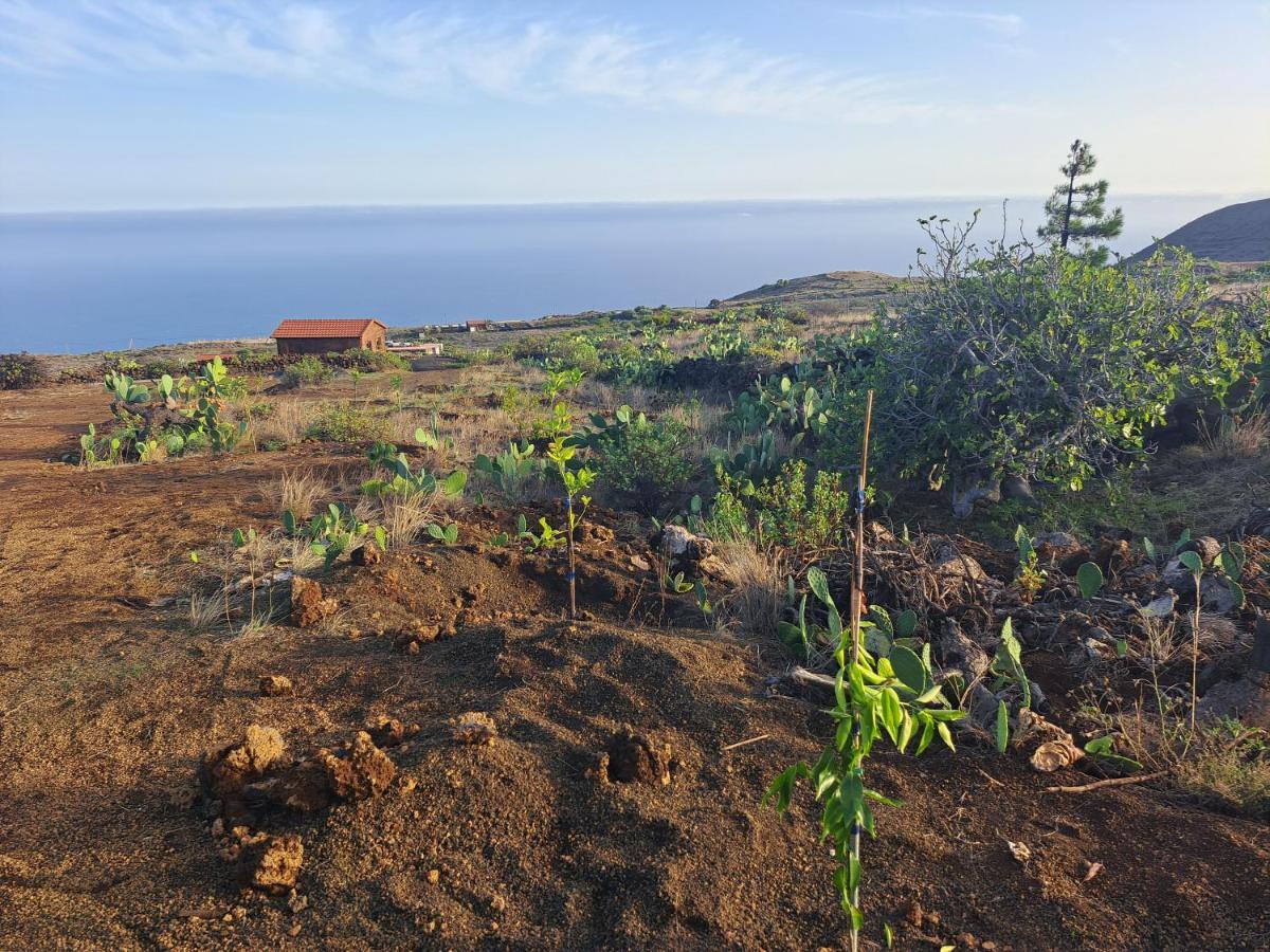 Las Casitas De Pao El Pinar  Exteriör bild