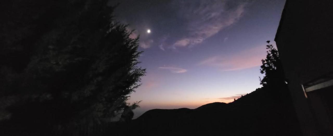 Las Casitas De Pao El Pinar  Exteriör bild