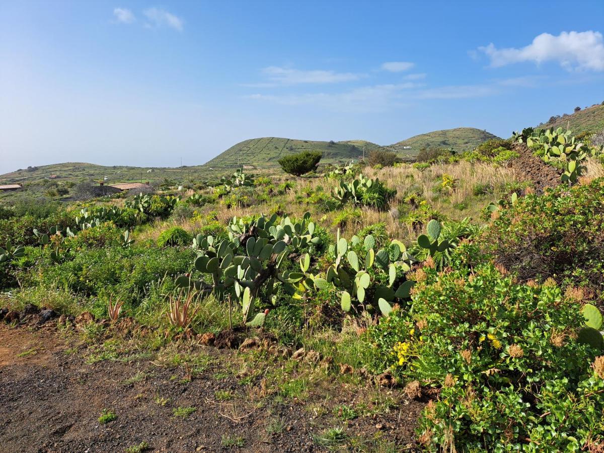 Las Casitas De Pao El Pinar  Exteriör bild