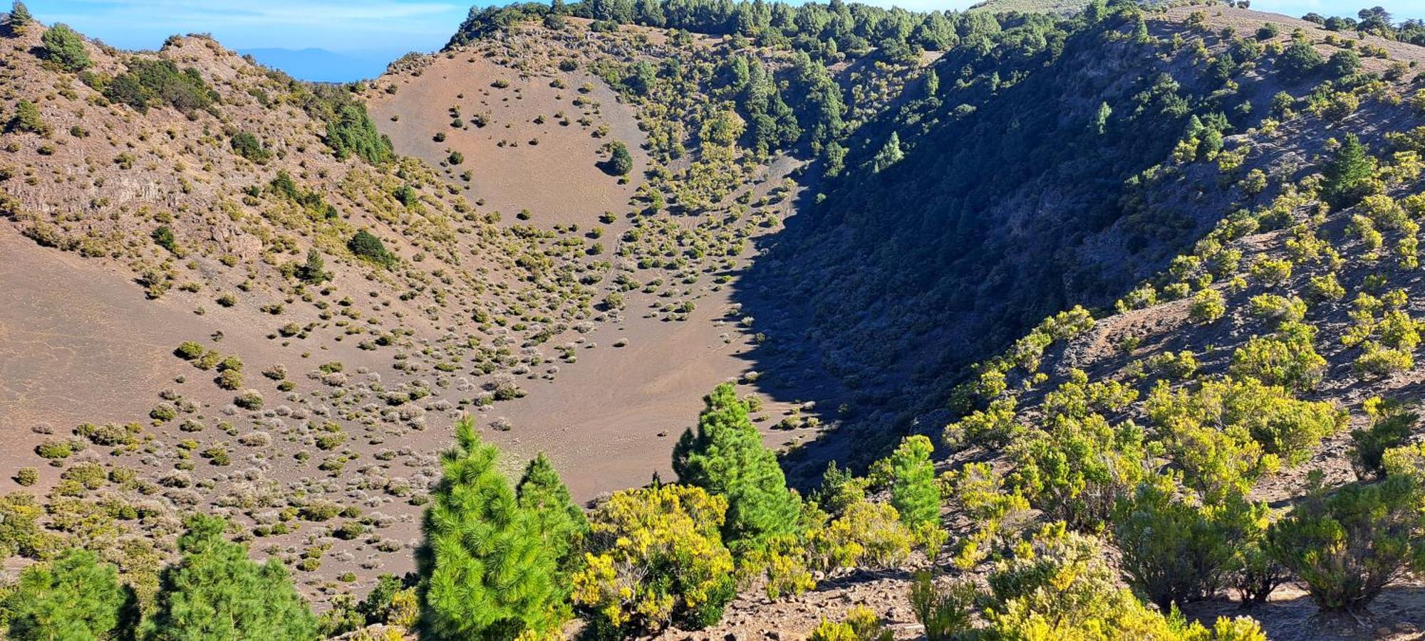 Las Casitas De Pao El Pinar  Exteriör bild