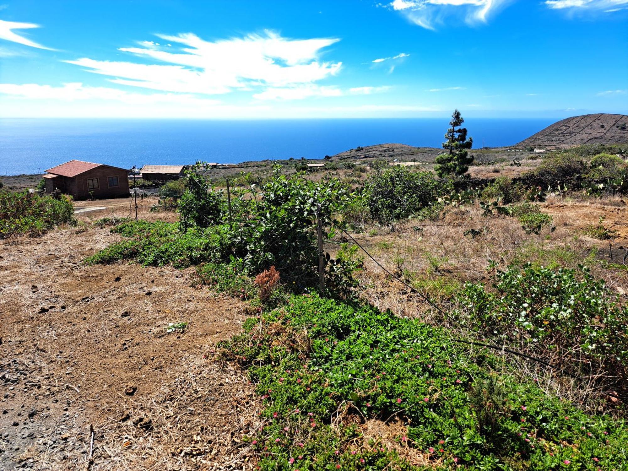 Las Casitas De Pao El Pinar  Rum bild
